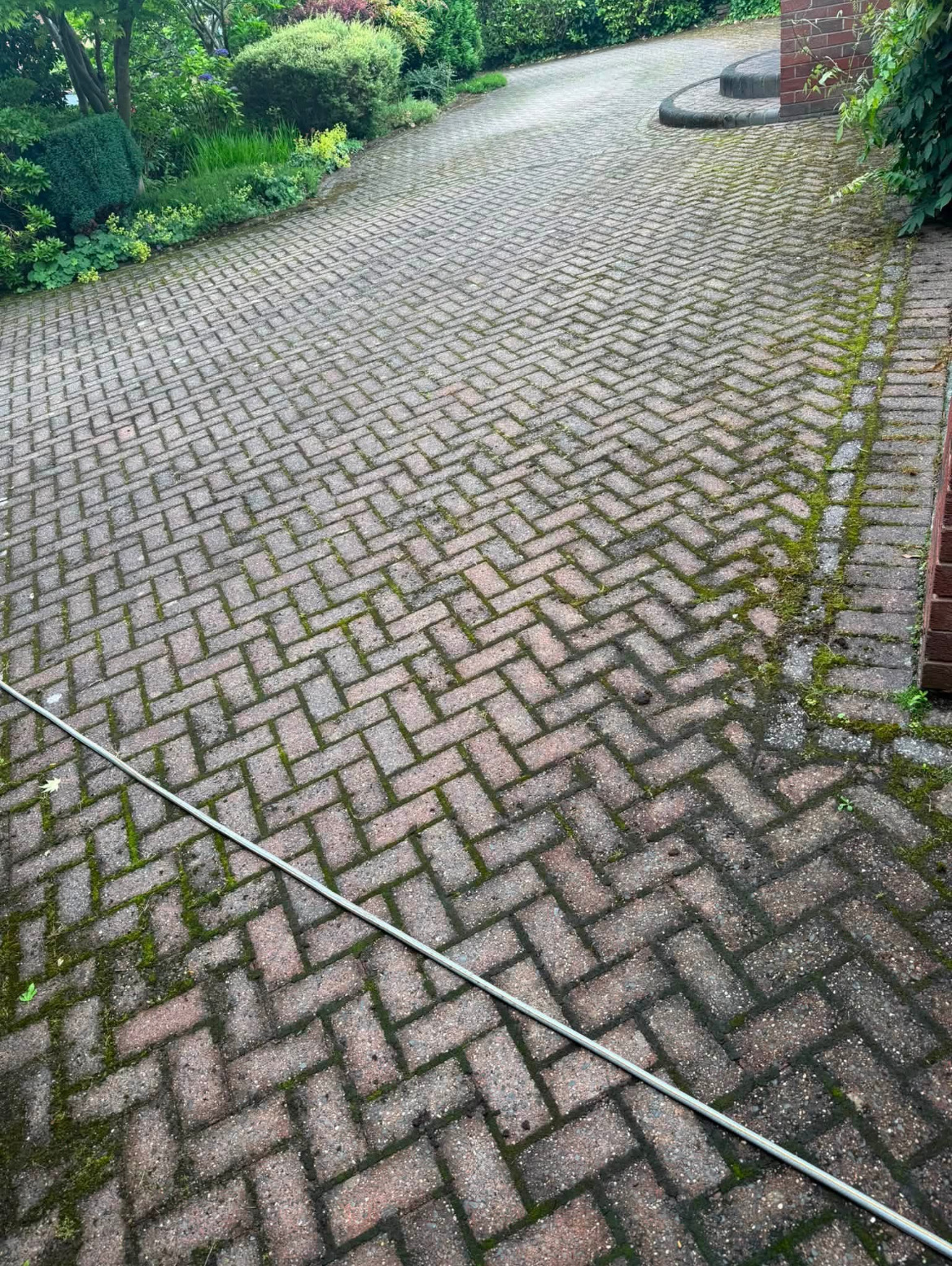 Mossy block paving driveway before cleaning